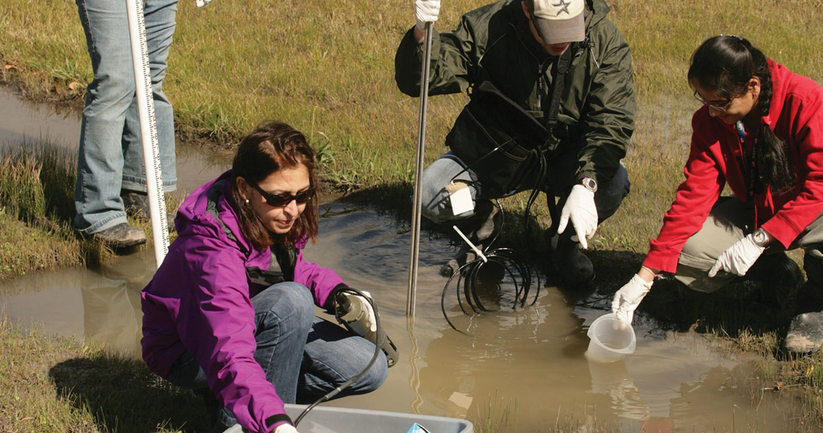 Hanadi Rifai and team in the field testing water in a stream.