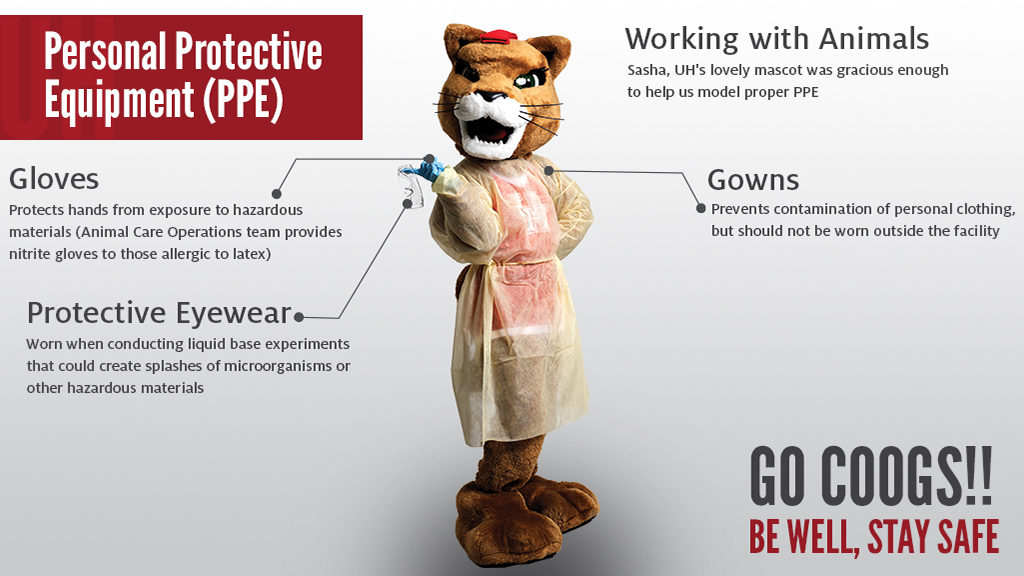 Cougar Mascot in Personal Protective Equipment