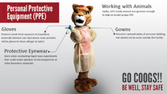 Cougar Mascot in Personal Protective Equipment