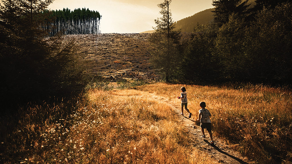 children running on path through woods